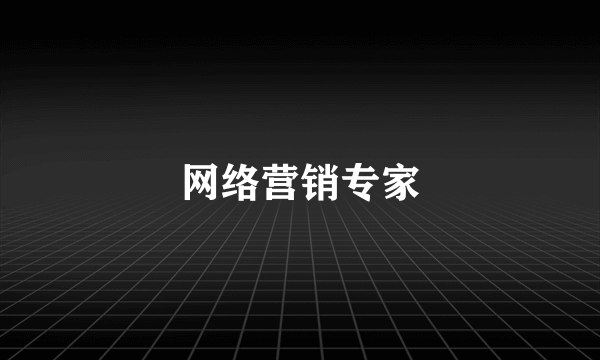 网络营销专家