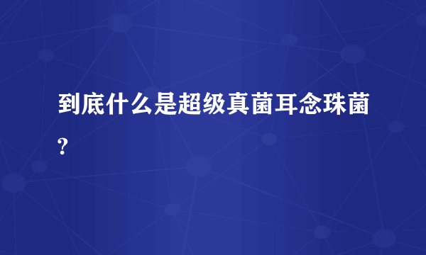 到底什么是超级真菌耳念珠菌?