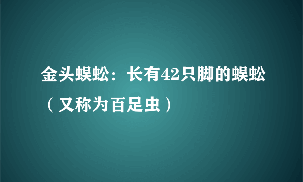 金头蜈蚣：长有42只脚的蜈蚣（又称为百足虫）