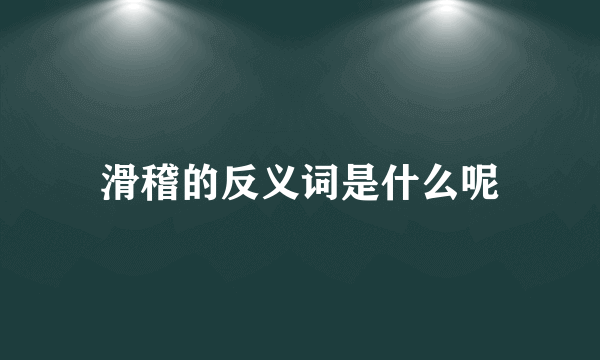 滑稽的反义词是什么呢