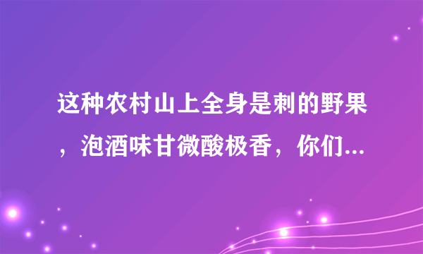 这种农村山上全身是刺的野果，泡酒味甘微酸极香，你们那叫什么？