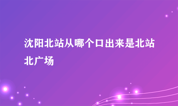 沈阳北站从哪个口出来是北站北广场