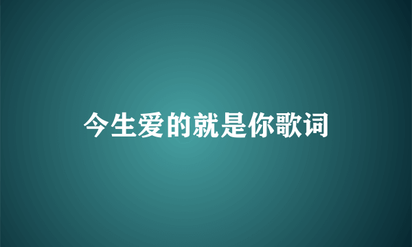 今生爱的就是你歌词