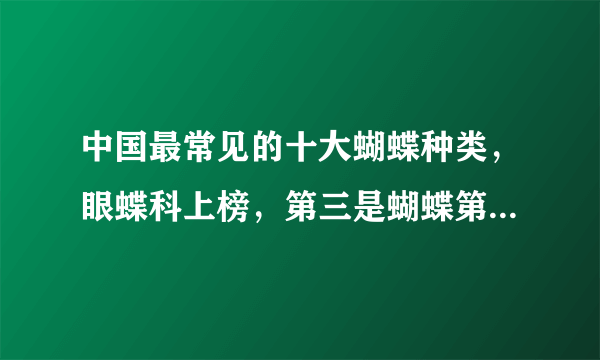 中国最常见的十大蝴蝶种类，眼蝶科上榜，第三是蝴蝶第二大分类