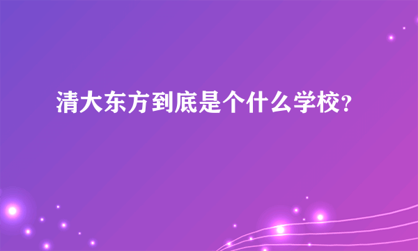 清大东方到底是个什么学校？