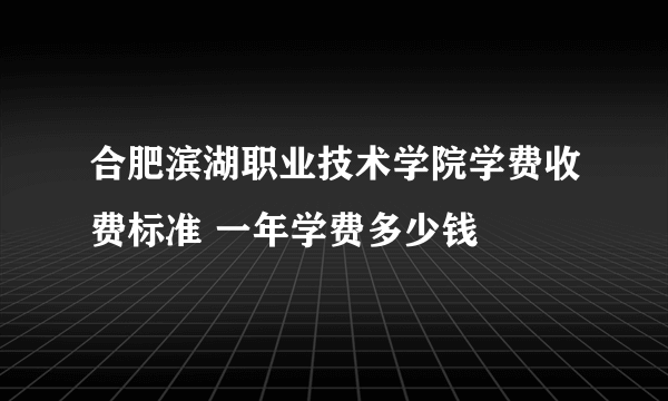 合肥滨湖职业技术学院学费收费标准 一年学费多少钱