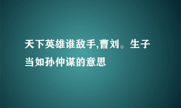 天下英雄谁敌手,曹刘。生子当如孙仲谋的意思