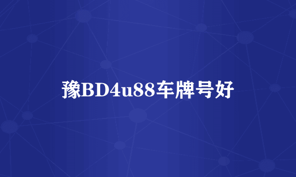 豫BD4u88车牌号好