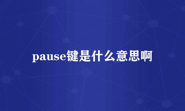 pause键是什么意思啊