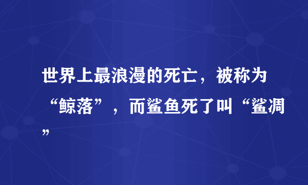 世界上最浪漫的死亡，被称为“鲸落”，而鲨鱼死了叫“鲨凋”