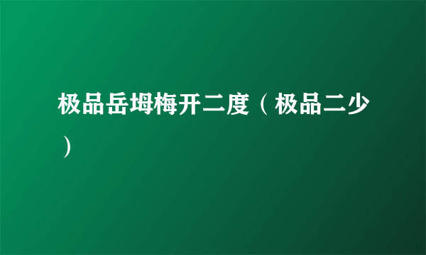 极品岳坶梅开二度（极品二少）