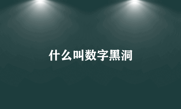 什么叫数字黑洞