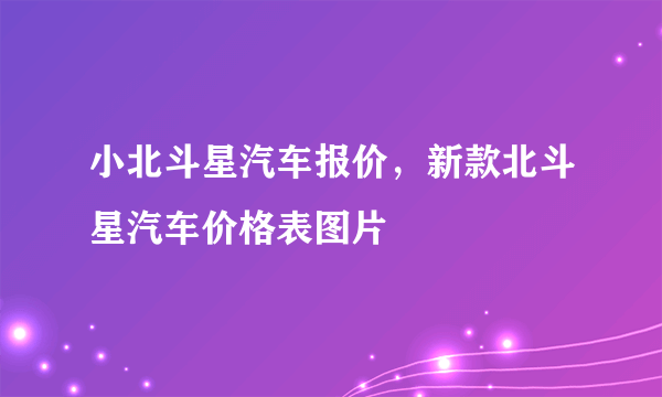 小北斗星汽车报价，新款北斗星汽车价格表图片