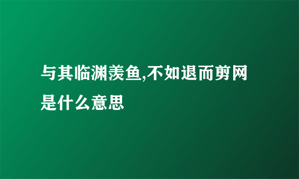 与其临渊羡鱼,不如退而剪网是什么意思