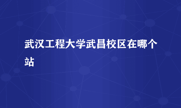 武汉工程大学武昌校区在哪个站