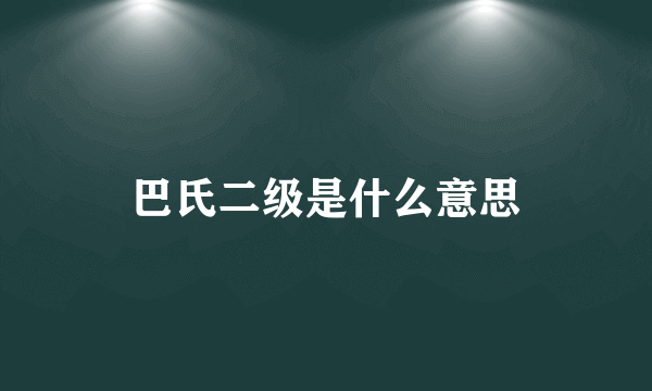 巴氏二级是什么意思