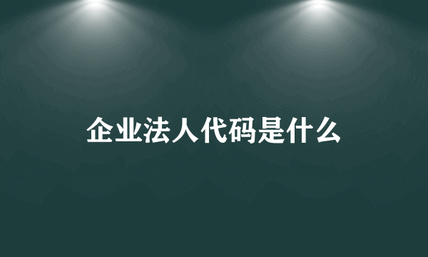 企业法人代码是什么