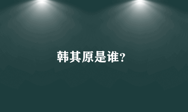 韩其原是谁？