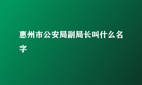 惠州市公安局副局长叫什么名字