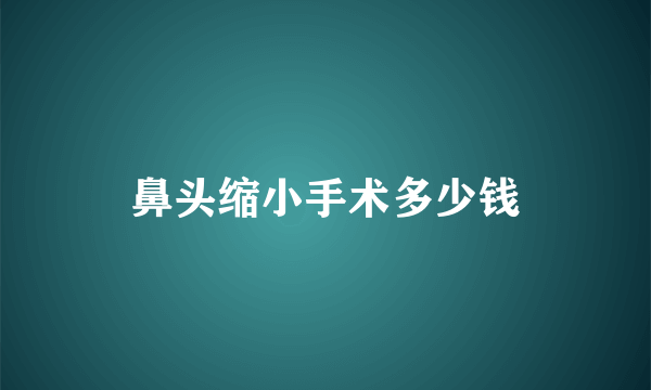 鼻头缩小手术多少钱