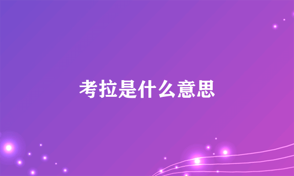 考拉是什么意思