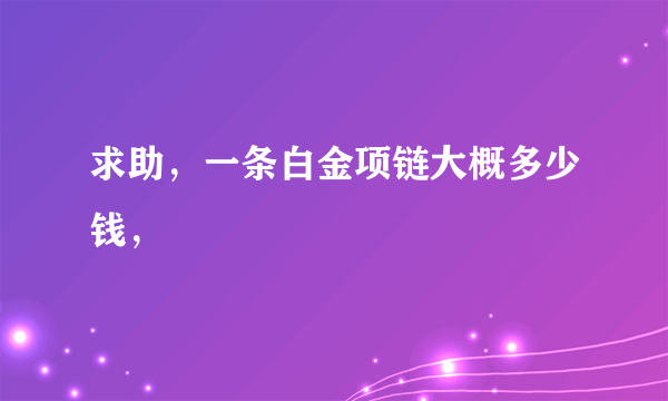 求助，一条白金项链大概多少钱，