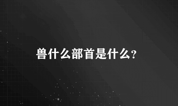 兽什么部首是什么？