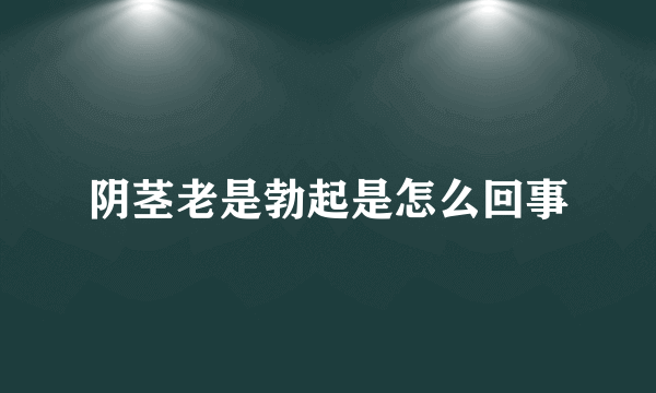 阴茎老是勃起是怎么回事