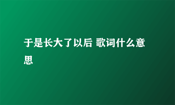 于是长大了以后 歌词什么意思