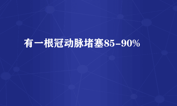 有一根冠动脉堵塞85-90%