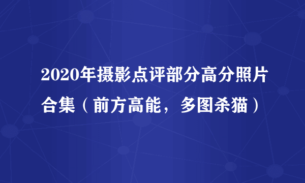 2020年摄影点评部分高分照片合集（前方高能，多图杀猫）