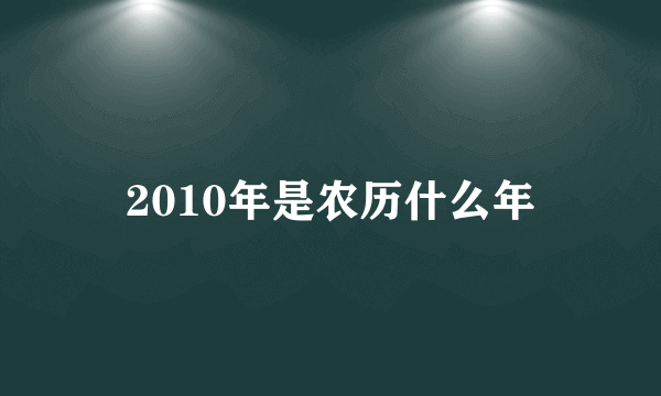 2010年是农历什么年