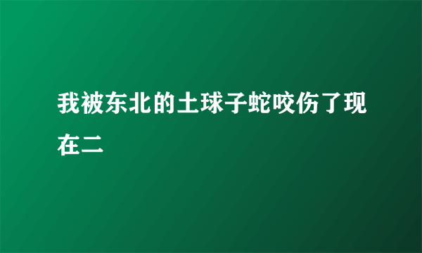 我被东北的土球子蛇咬伤了现在二