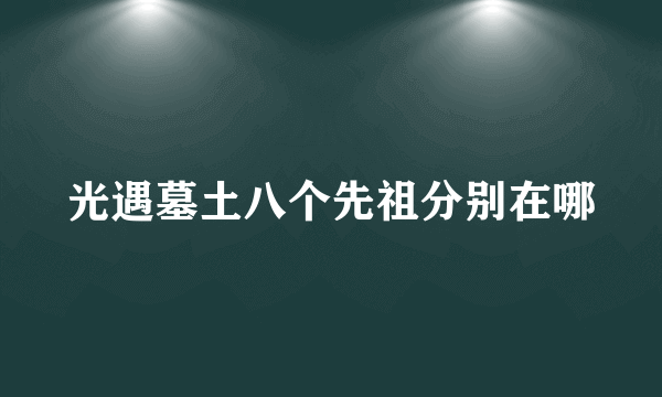 光遇墓土八个先祖分别在哪