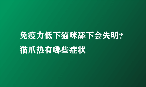 免疫力低下猫咪舔下会失明？猫爪热有哪些症状