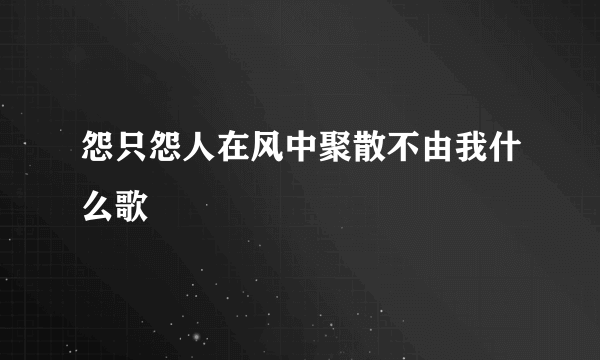 怨只怨人在风中聚散不由我什么歌