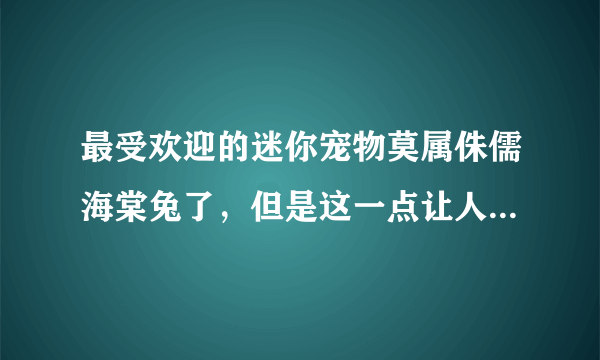 最受欢迎的迷你宠物莫属侏儒海棠兔了，但是这一点让人意想不到