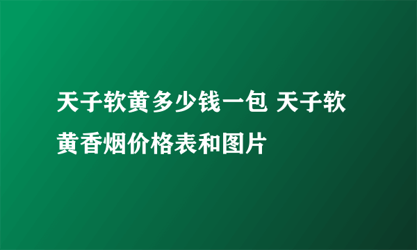 天子软黄多少钱一包 天子软黄香烟价格表和图片