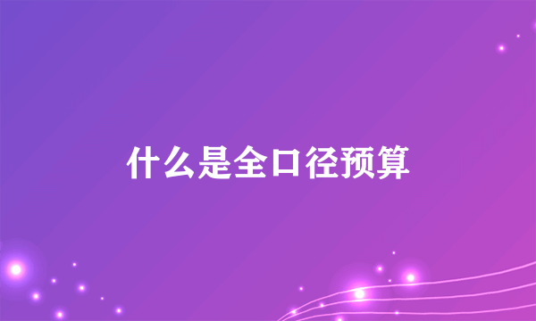 什么是全口径预算