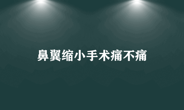 鼻翼缩小手术痛不痛