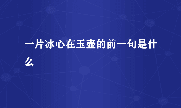 一片冰心在玉壶的前一句是什么