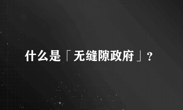 什么是「无缝隙政府」？