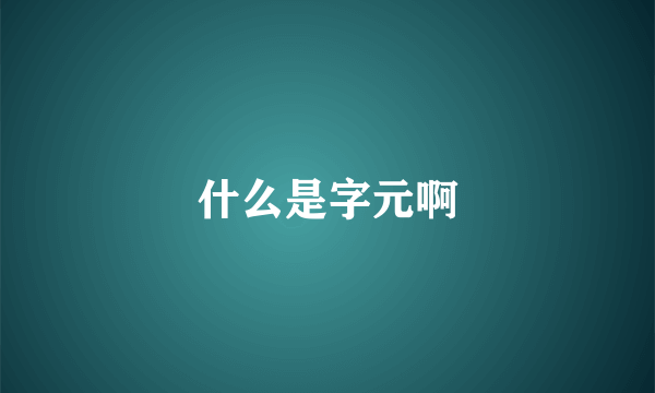 什么是字元啊