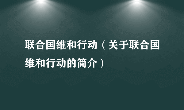 联合国维和行动（关于联合国维和行动的简介）