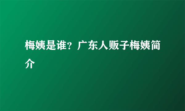 梅姨是谁？广东人贩子梅姨简介