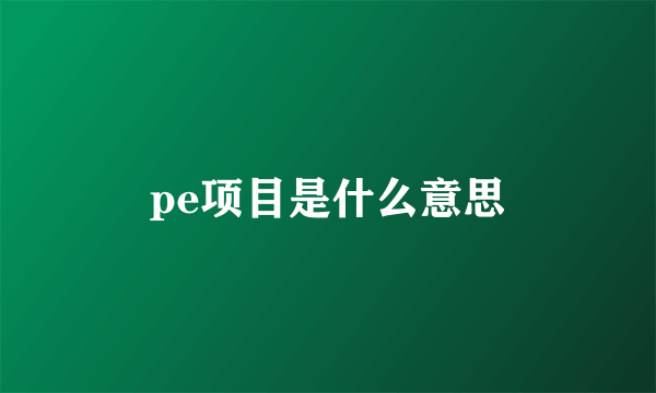 pe项目是什么意思