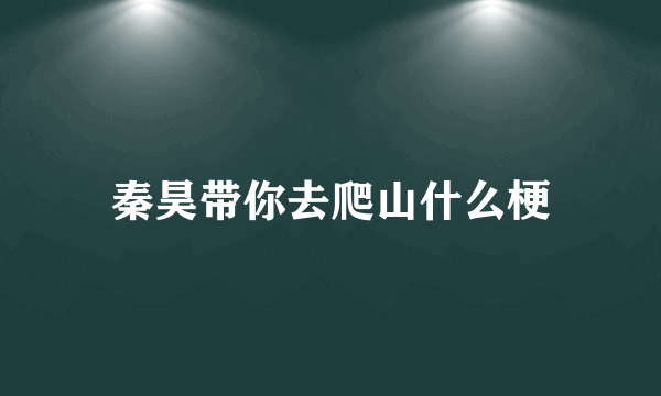 秦昊带你去爬山什么梗