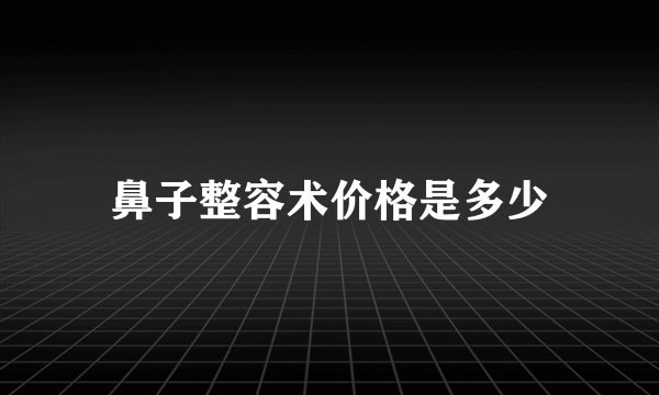 鼻子整容术价格是多少