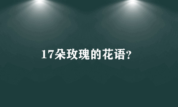 17朵玫瑰的花语？