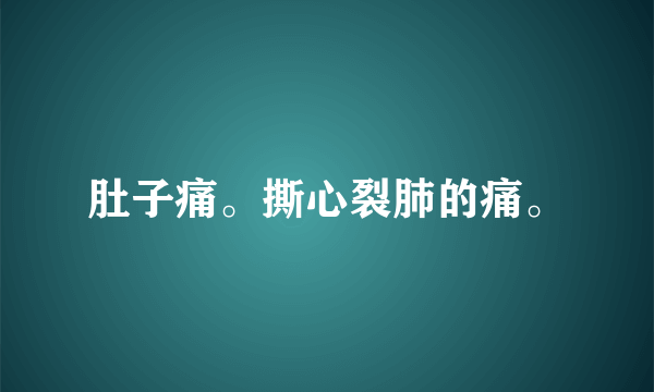 肚子痛。撕心裂肺的痛。